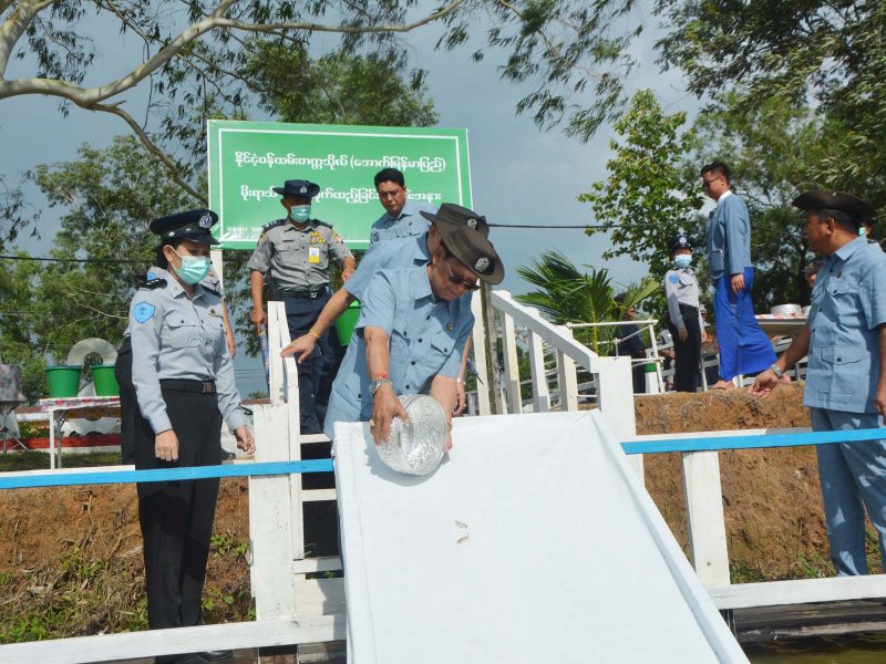 မိုးရာသီငါးမျိုးစိုက်ထည့်ခြင်း အခမ်းအနား (၁၆-၇-၂၀၂၃)